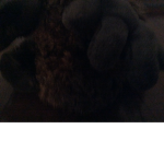 Moose for life