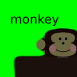 monkeys hang Studios