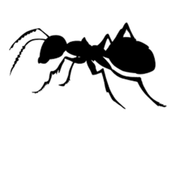 The Ant Hill