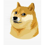 Official Doge Kingdom