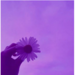 вєяяу вℓσѕѕσм!