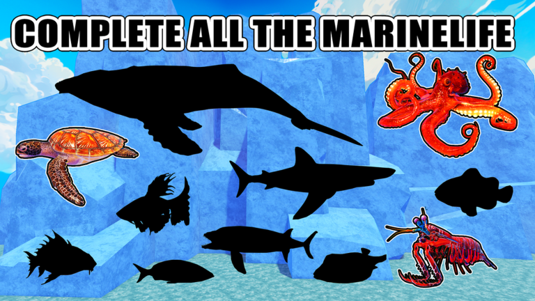 [NEW]Collect Fish🦈