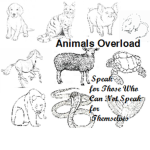 Animals Overload
