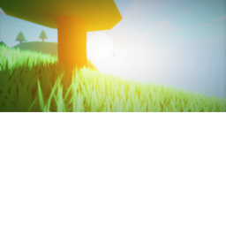 The View