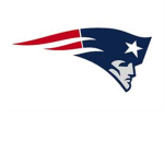 epic patriot fans! :D