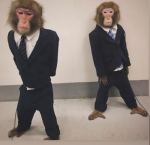 wockstyle