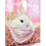 The Pastel Bunnies
