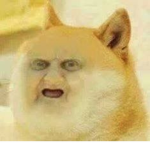 BokiToki
