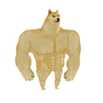The cop doge slayer