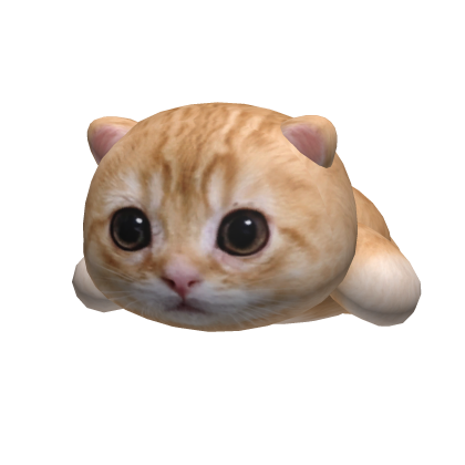 El Gato On Head