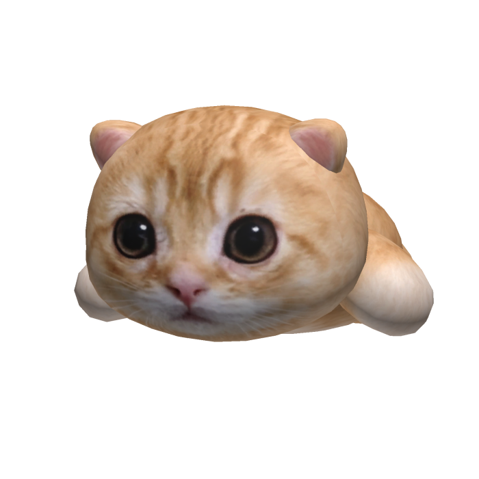 El Gato On Head