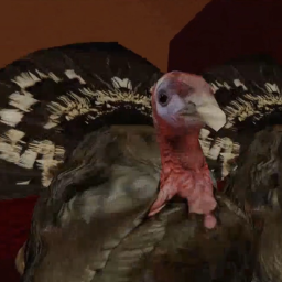 Thanksgiving Feast