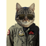 Cat army 12