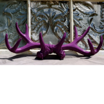 Purple Antlers Group :3
