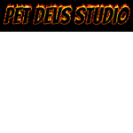 PET DEVS