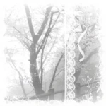ANG3L! Group Thumbnail