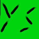 Yelimex's Store