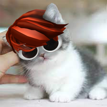 Afk Until Someone Donates 50k