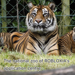 Application centre!