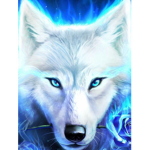 Hey My wolf’s