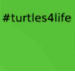 Turtle4life (TG)