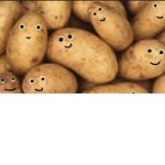 The potato studio's