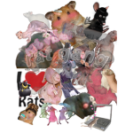 The Rat Gang!!<3