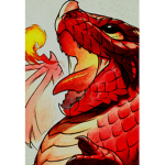 fire dragons group