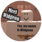 Meet Widgeon