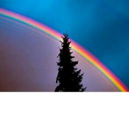 Rainbow Obby