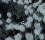 ~D4wn~