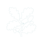 Honūa