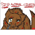Stop Animal Abuse :(