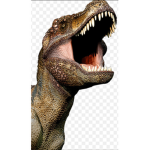 Dino gang coj