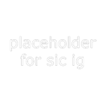 SIC// SECURITY INTERVENTION CORPS