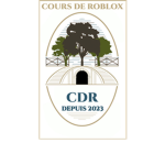Cours de roblox