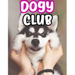 dogy club :v
