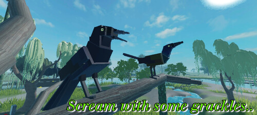 Raptor's Bird showcase
