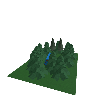 Camp