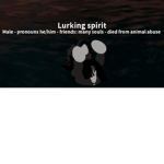 De Special Spirits
