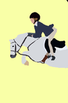 English wild horse island riders