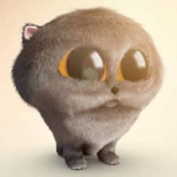 Kitteh Kitteh: The True Identity