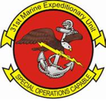 The 31st SEA Marine Division