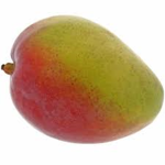 MingoMango