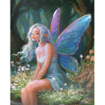 •fairy wardrobe•