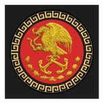 Mexican Navy ᅠ