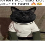 Vlone Kittens