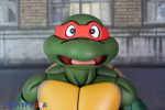 The TMNT savage group