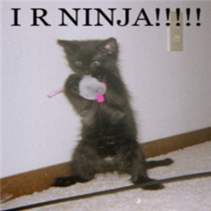 ninja Cat! Roblox decal