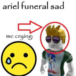 Ariel Funeral Game (SAD YOU WILL CRY)